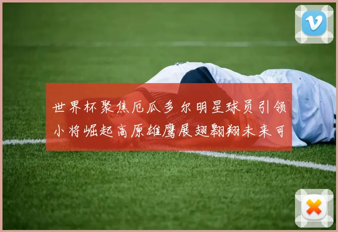 世界杯聚焦厄瓜多尔明星球员引领小将崛起高原雄鹰展翅翱翔未来可期