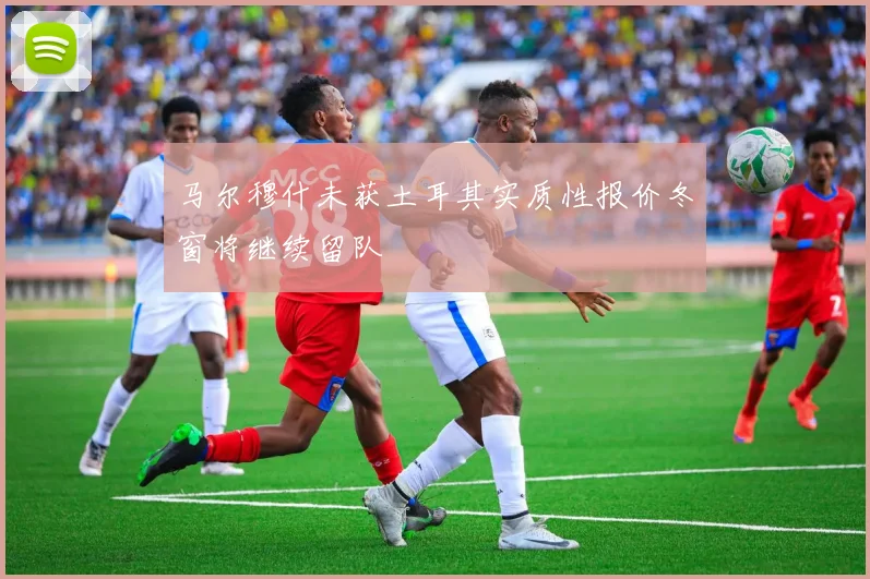马尔穆什未获土耳其实质性报价冬窗将继续留队