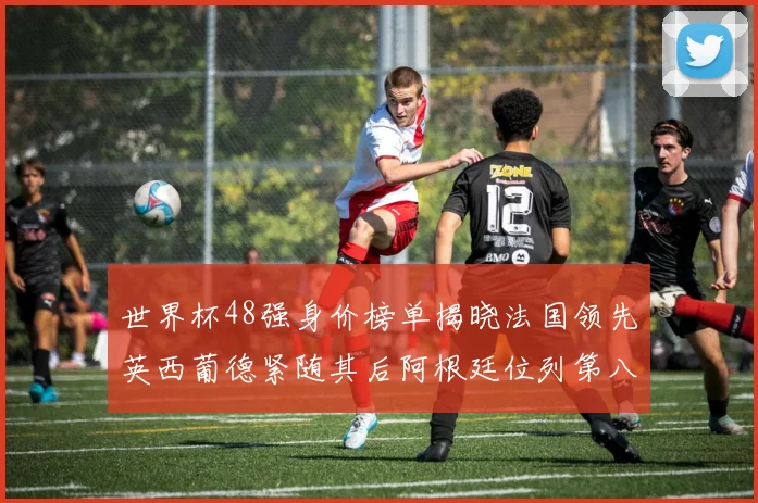 世界杯48强身价榜单揭晓法国领先英西葡德紧随其后阿根廷位列第八